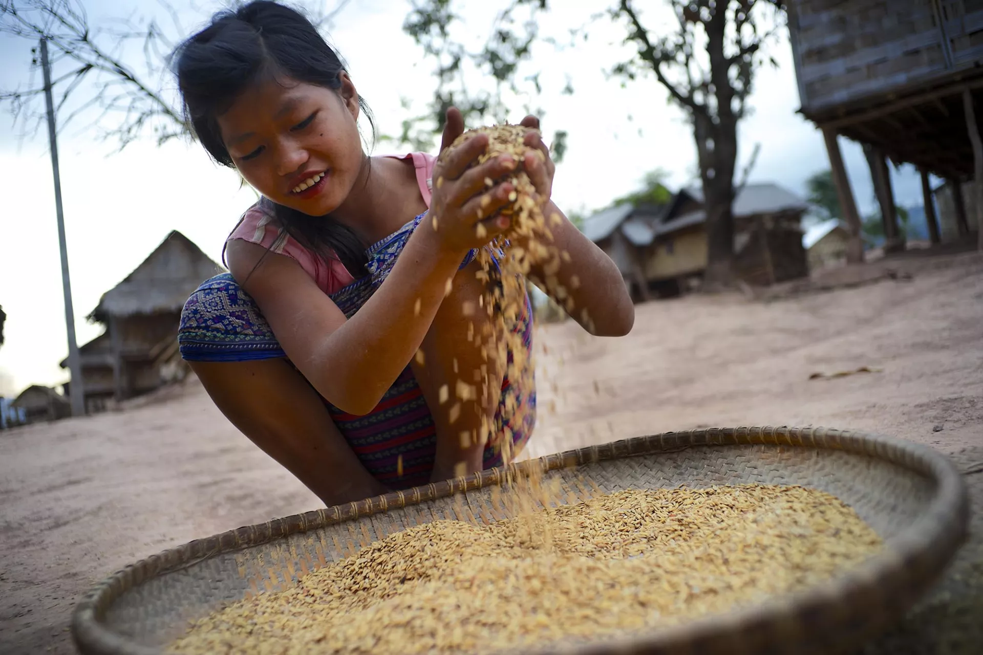 An adolescent girl winnows rice to remove the chaff, outside her family’s home, Laos